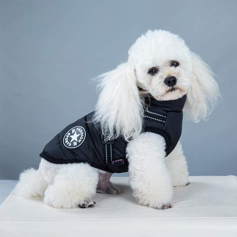 Dog Waterproof Warm Winter Jacket with Harness