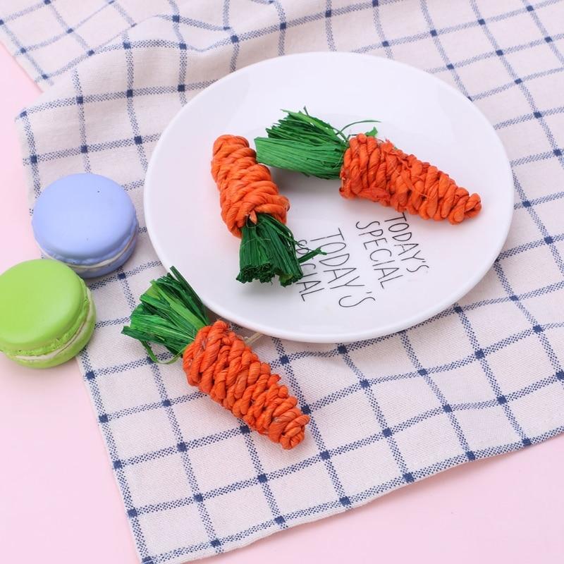 3Pcs Carrot Shaped Rabbit Chew Bite Toys