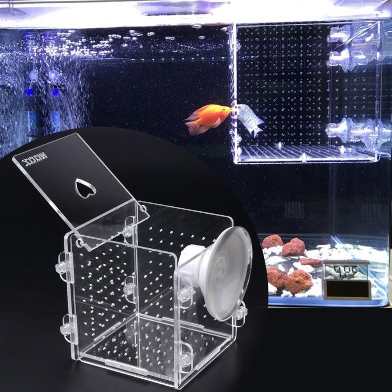 Aquarium Fish Breeding Isolation Box