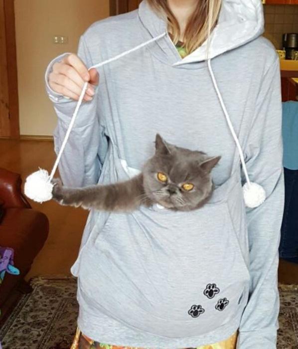 Cozy Cat Hoodie With Kangaroo Pouch