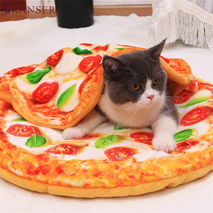 Delicious Pizza Pet Mat