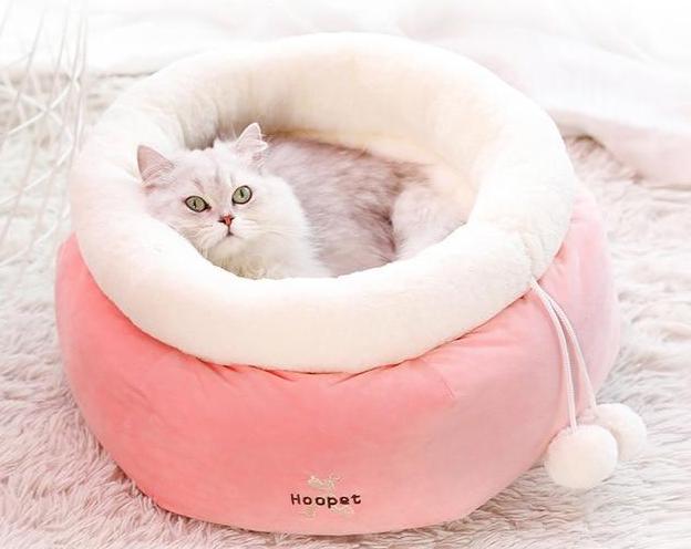 Lovely Pet Lounging Bed