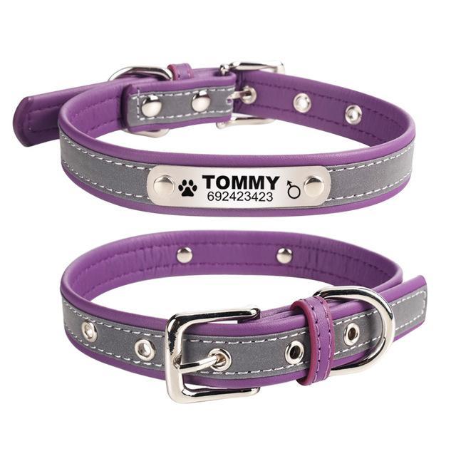 Personalized Reflective Leather Pet ID Tag Collar