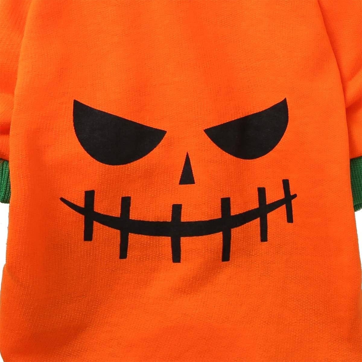 Pumpkin Pet Hoodie - Halloween Costume