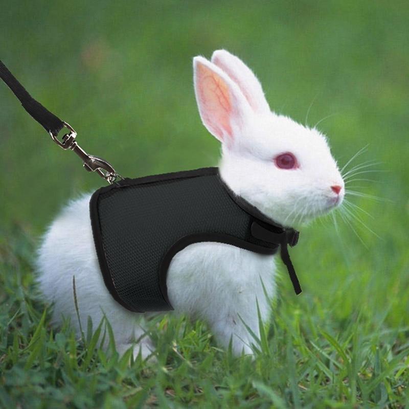 Rabbit Vest Harness With Leash
