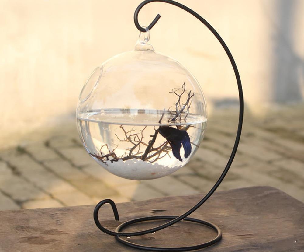 Round Shape Hanging Glass Fish Bowl with Rack Holder
