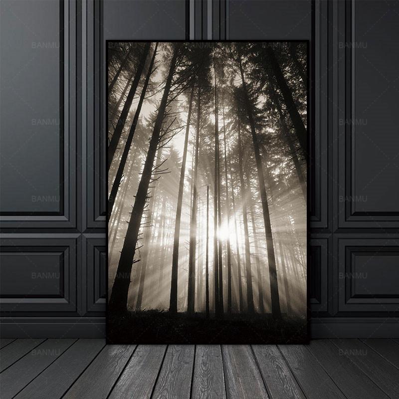 Black and White Wall Decor Sun in the Forest