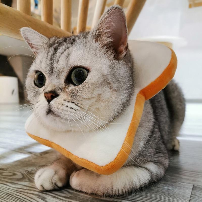 Toast Cat Collar