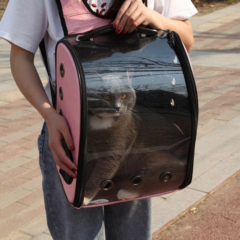 Transparent Pet Carrier